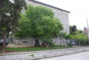 Apartments by the sea Zadar - 13291